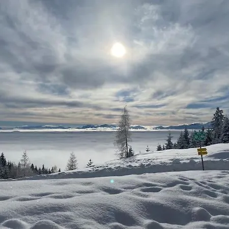 Livgood Gerlitzen شقة تريفن